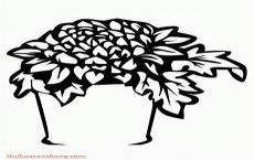 菊花的画法简笔画图片