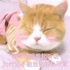 现在有人当上门女婿吗