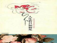 思无邪安意如抄袭