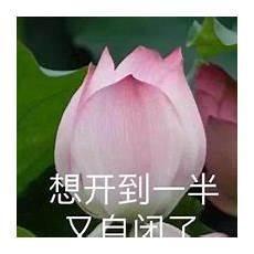 适合50岁中年男微信头像
